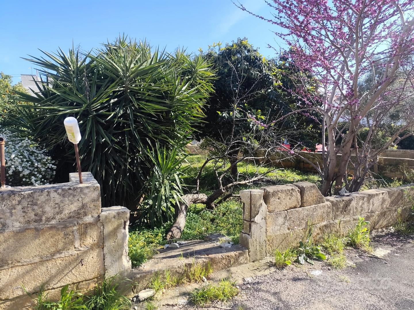 Terreno edificabile Sannicola (Le) - Vista 5