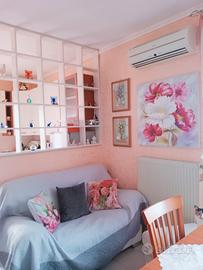 Appartamento Davoli marina centro