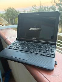 Toshiba NB250