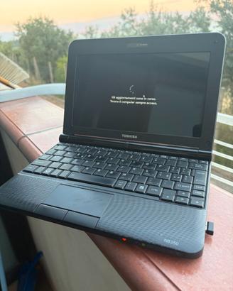 Toshiba NB250
