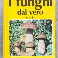 Bruno Cetto I FUNGHI DAL VERO volume 1