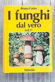 Bruno Cetto I FUNGHI DAL VERO volume 1