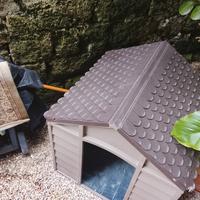 cuccia per cane taglia media