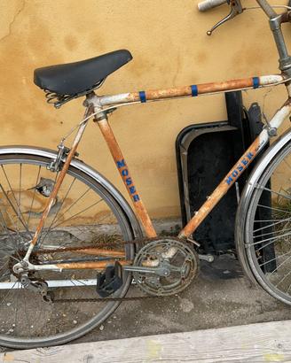 Bicicletta Moser