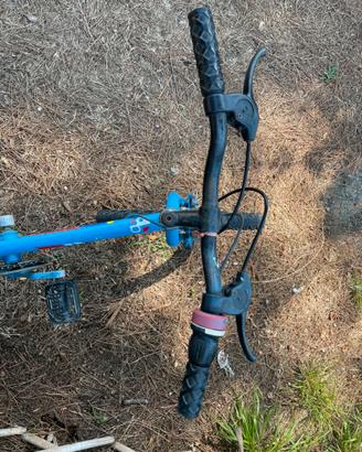 Bici bmx bambino