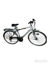 Bicicletta da città / Trekking Cosentino EARTH