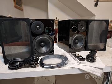 Diffusori monitor digitali attivi AVI ADM 9T