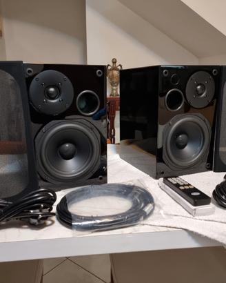 Diffusori monitor digitali attivi AVI ADM 9T