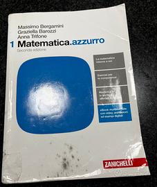 Matematica Azzurro 1 Seconda Edizione Zanichelli