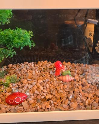 Aquario 20lt