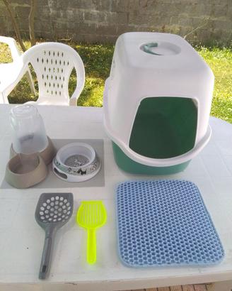 Set completo gatto