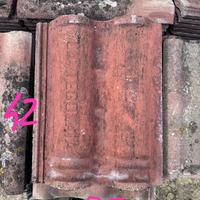 Tegola la tegolaia