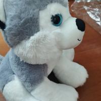 Peluche husky cane