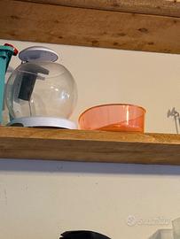 Acquari vari e tiragraffi