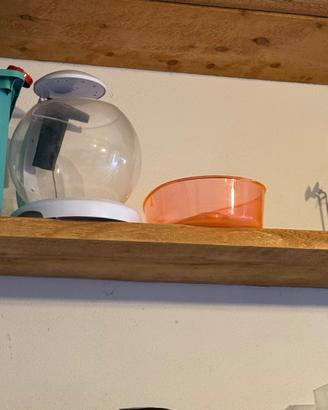 Acquari vari e tiragraffi