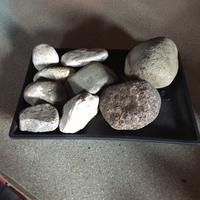 Sassi per acquari e terrari