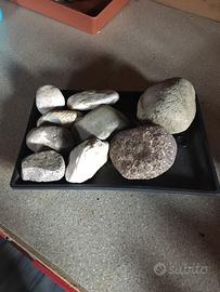 Sassi per acquari e terrari