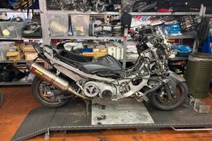 T max 530 2012