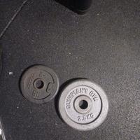 dischi palestra 28 mm ghisa e gommati 