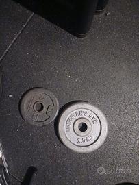 dischi palestra 28 mm ghisa e gommati 