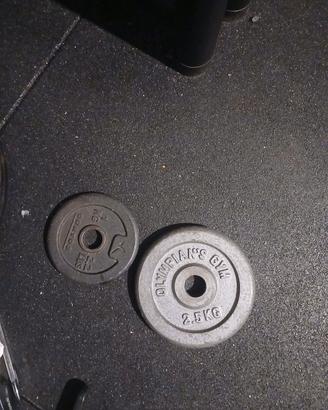 dischi palestra 28 mm ghisa e gommati 