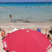 Attrezzatura di salvataggio