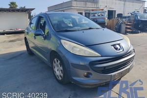 PEUGEOT 207 WA, WC 1.4 73CV 06-13 Ricambi-