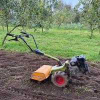 Motocoltivatore Grillo 6 cv