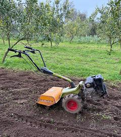 Motocoltivatore Grillo 6 cv