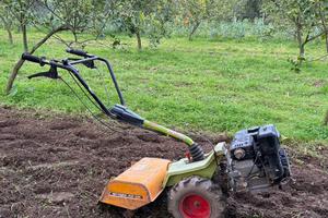 Motocoltivatore Grillo 6 cv