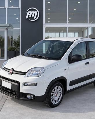 FIAT Panda 1.0 70CV Hybrid AUTOCARRO 4 posti