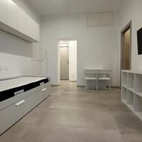 Monolocale ristrutturato certosa