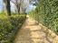 Immagine 8