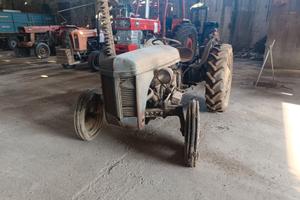 massey ferguson TE 20 a diesel