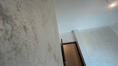 Cartongessisto / imbianchino