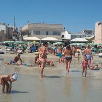 Vacanze a Torre Canne ( Fasano )