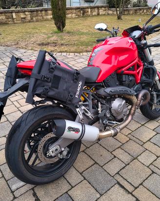 ducati Monster 821 perfetto 