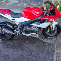 Triumph 955rs