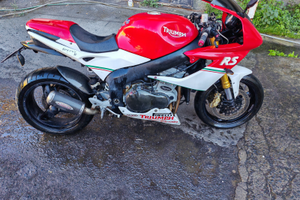 Triumph 955rs