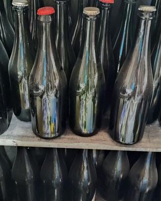 Bottiglie vino