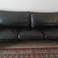 Dovano pelle bufalo Brunati