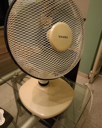Ventilatore Vintage Tefal Anni 80/90