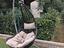 Immagine 5