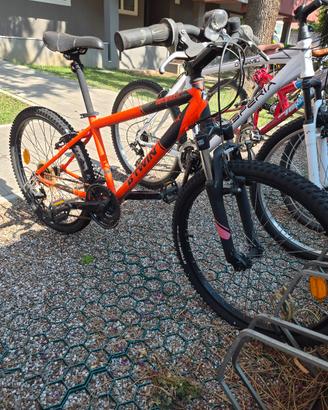 venduta bici ragazzo 24