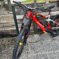 Haibike10.0 xduro endiro eBike