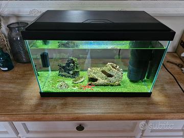 acquario
