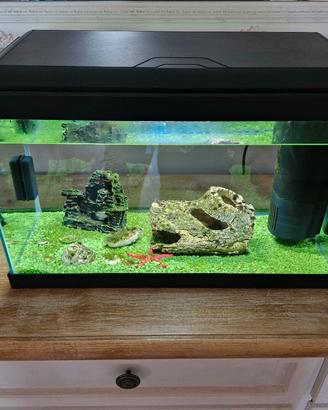 acquario