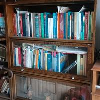 Libreria Zema modello inglese stile professionale