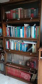 Libreria Zema modello inglese stile professionale