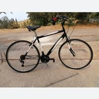 Bici da trekking cerchi da 28 